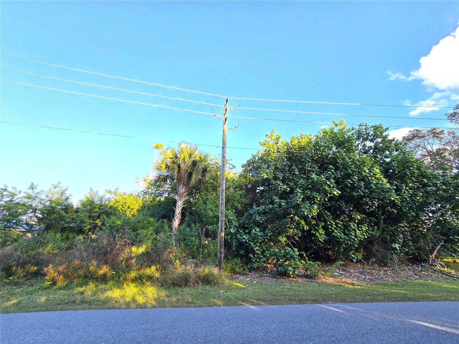 1667 Red Bud Circle NW Palm Bay FL 32907 O6389798 image2