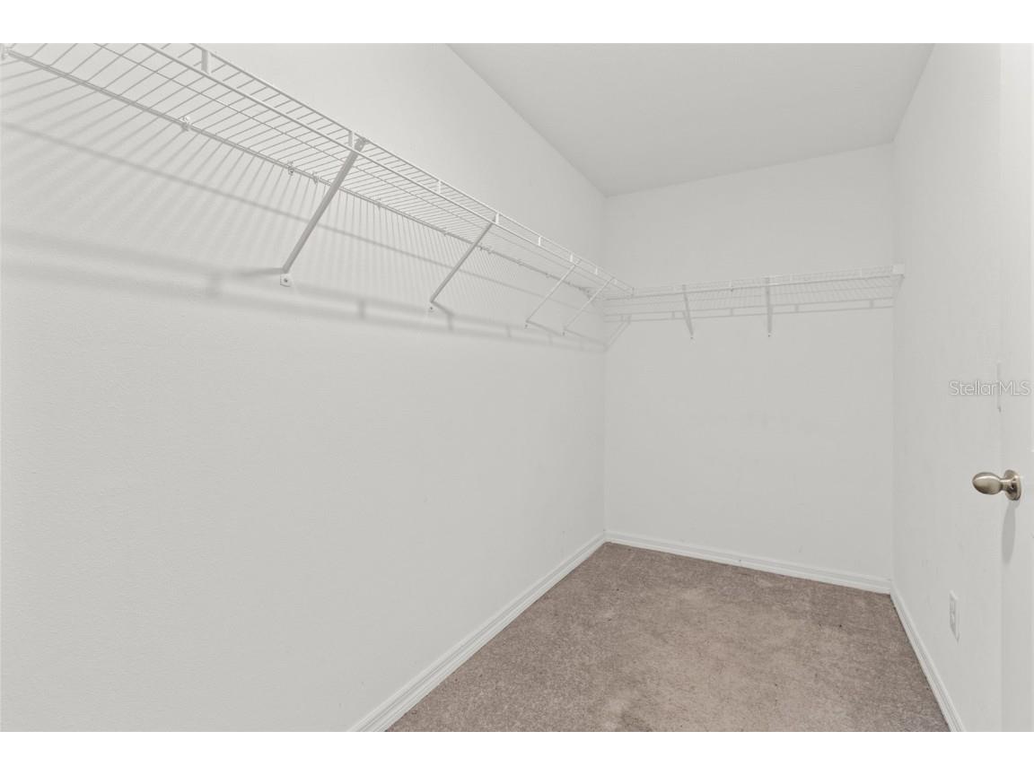 16671 Kingman Reef Street Wimauma FL 33598 TB8408572 image22