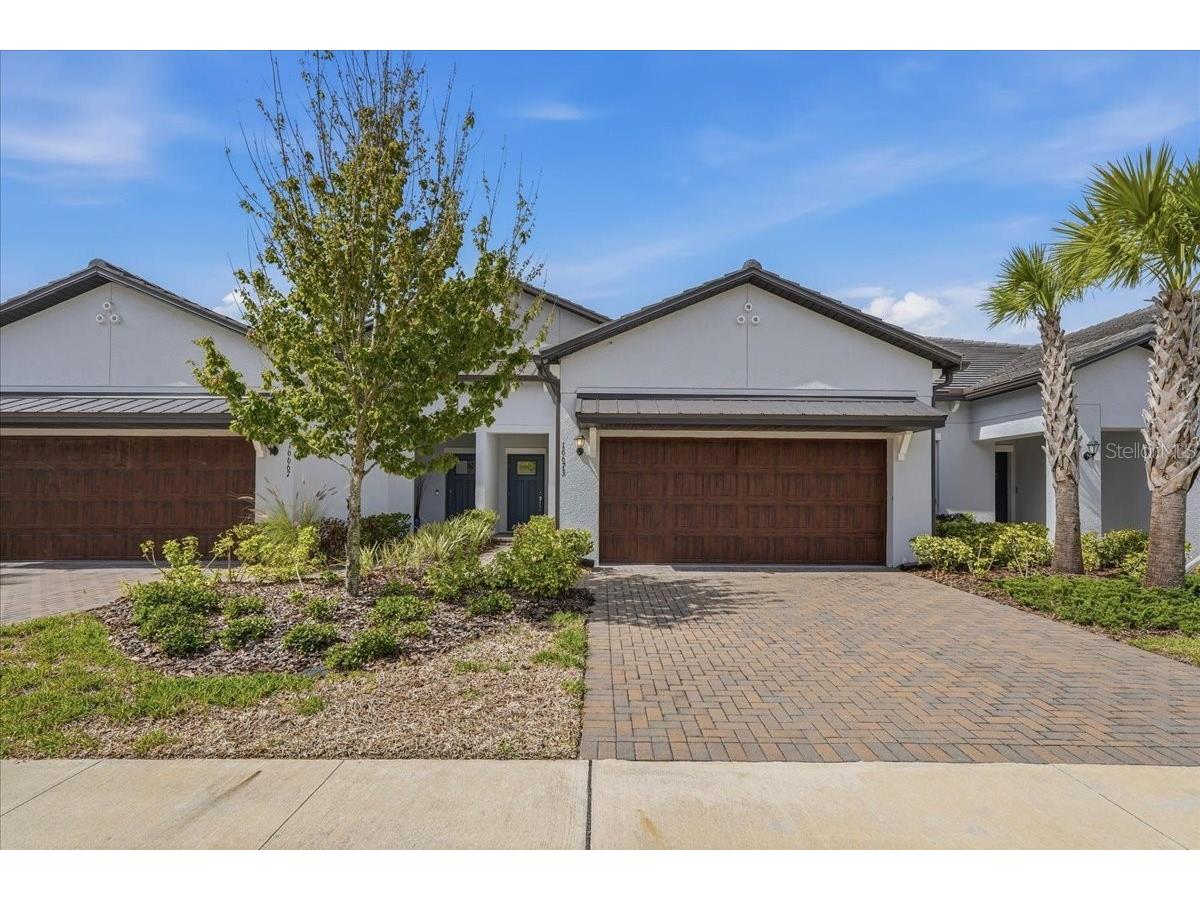 16673 Shell Bay Drive Land O Lakes FL 34638 TB8497496 image1