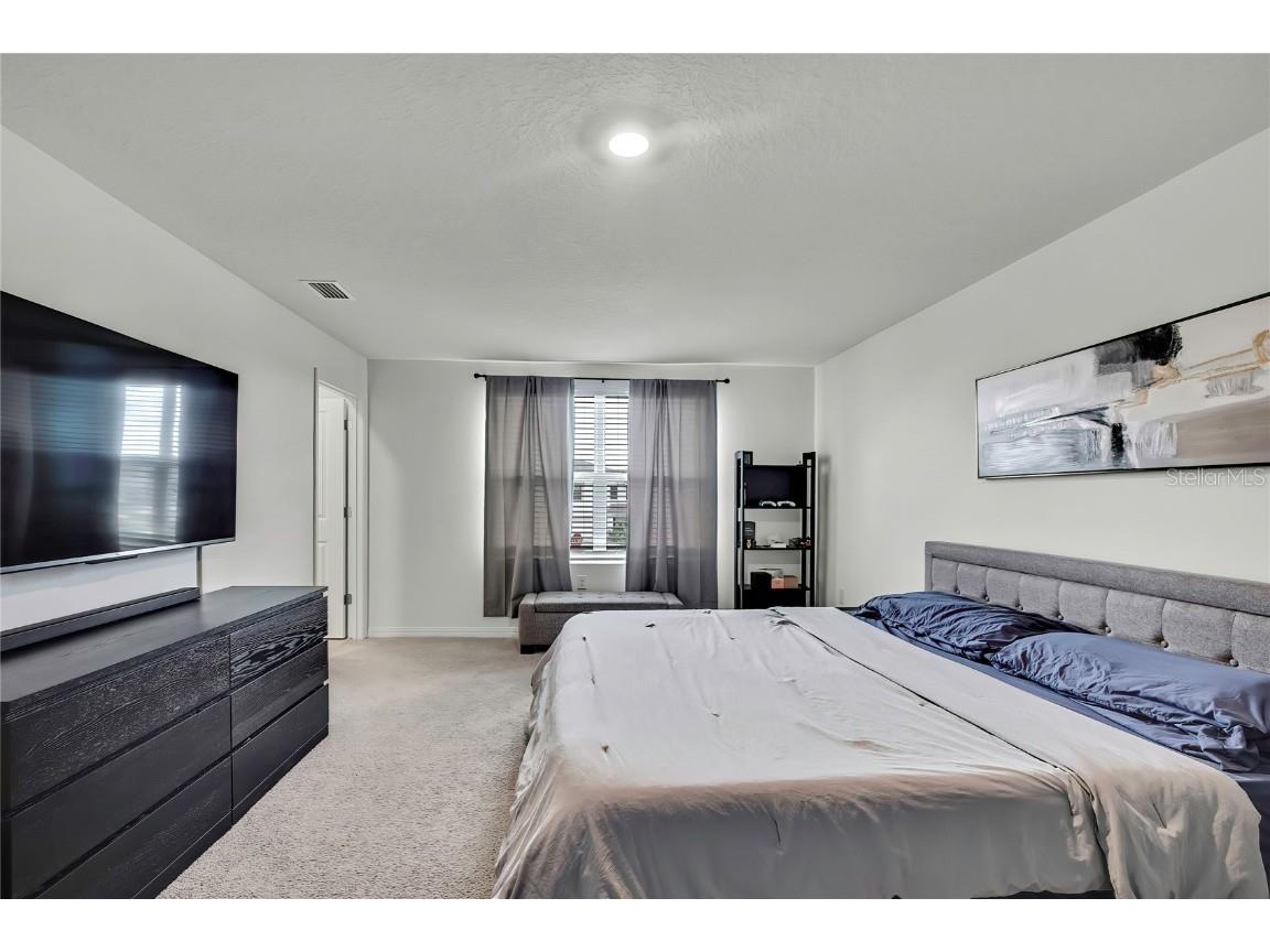 16673 Windmill Forge Pass Wimauma FL 33598 TB8435382 image14