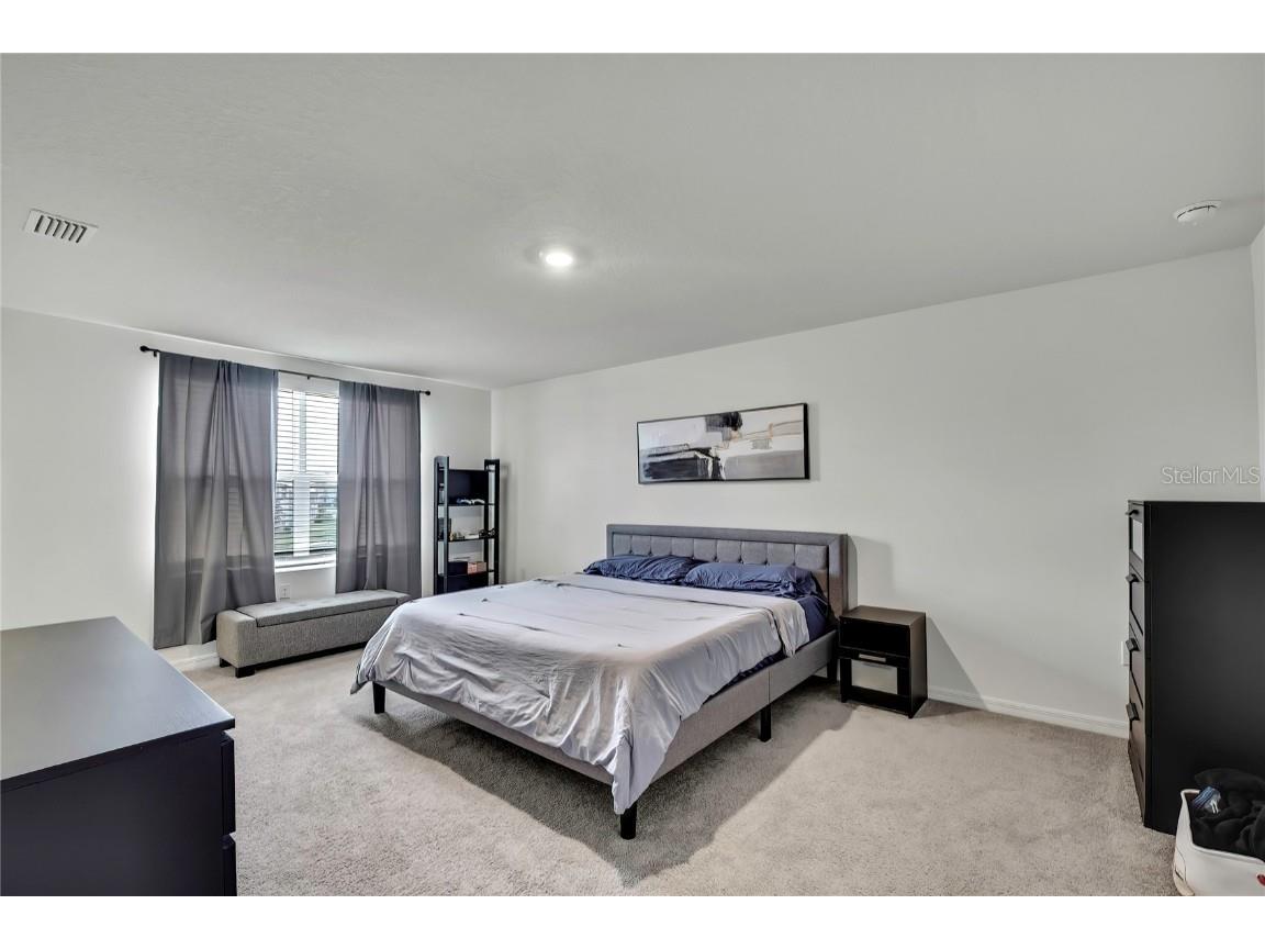 16673 Windmill Forge Pass Wimauma FL 33598 TB8435382 image15