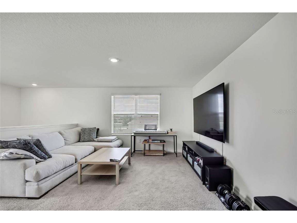 16673 Windmill Forge Pass Wimauma FL 33598 TB8435382 image16