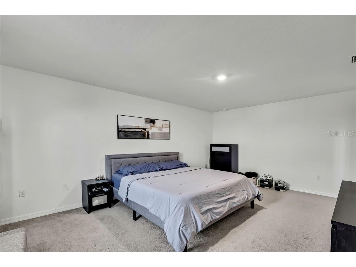 16673 Windmill Forge Pass Wimauma FL 33598 TB8435382 image18