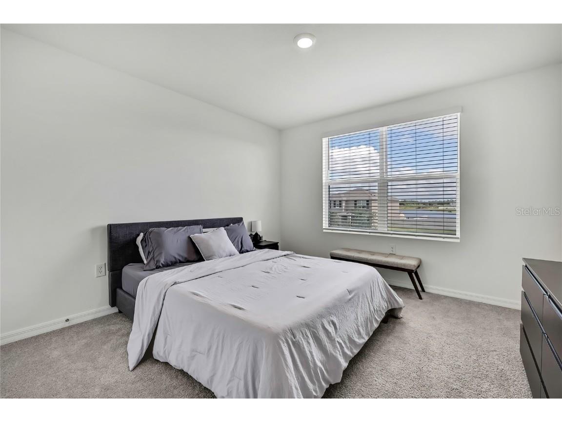 16673 Windmill Forge Pass Wimauma FL 33598 TB8435382 image20