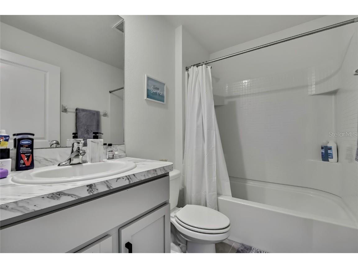 16673 Windmill Forge Pass Wimauma FL 33598 TB8435382 image22