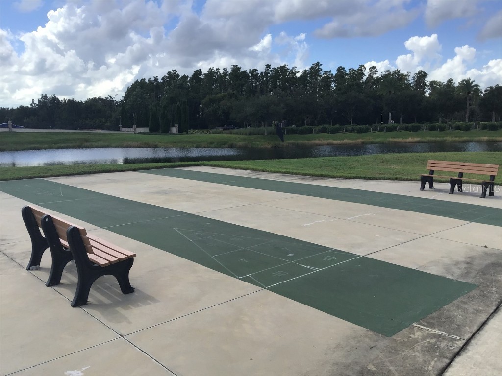 16673 Windmill Forge Pass Wimauma FL 33598 TB8435382 image27