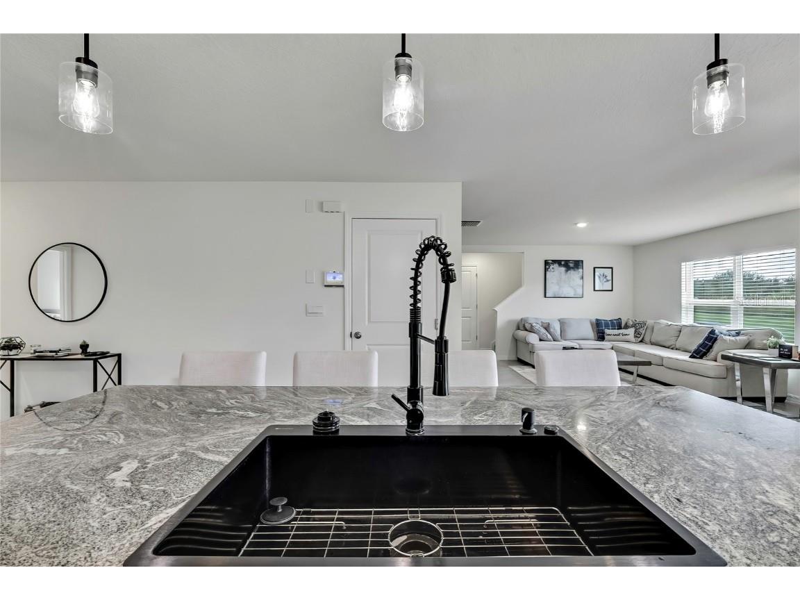 16673 Windmill Forge Pass Wimauma FL 33598 TB8435382 image9