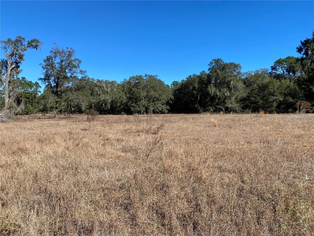 16675 N Us Highway 301 Citra FL 32113 OM694633 image1