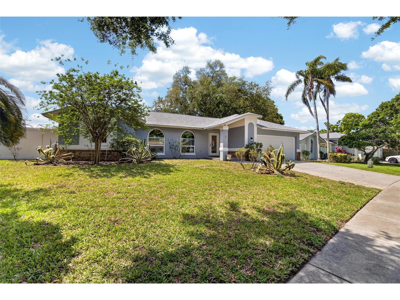 1668 Allens Ridge Drive N Palm Harbor FL 34683 TB8497852 image1