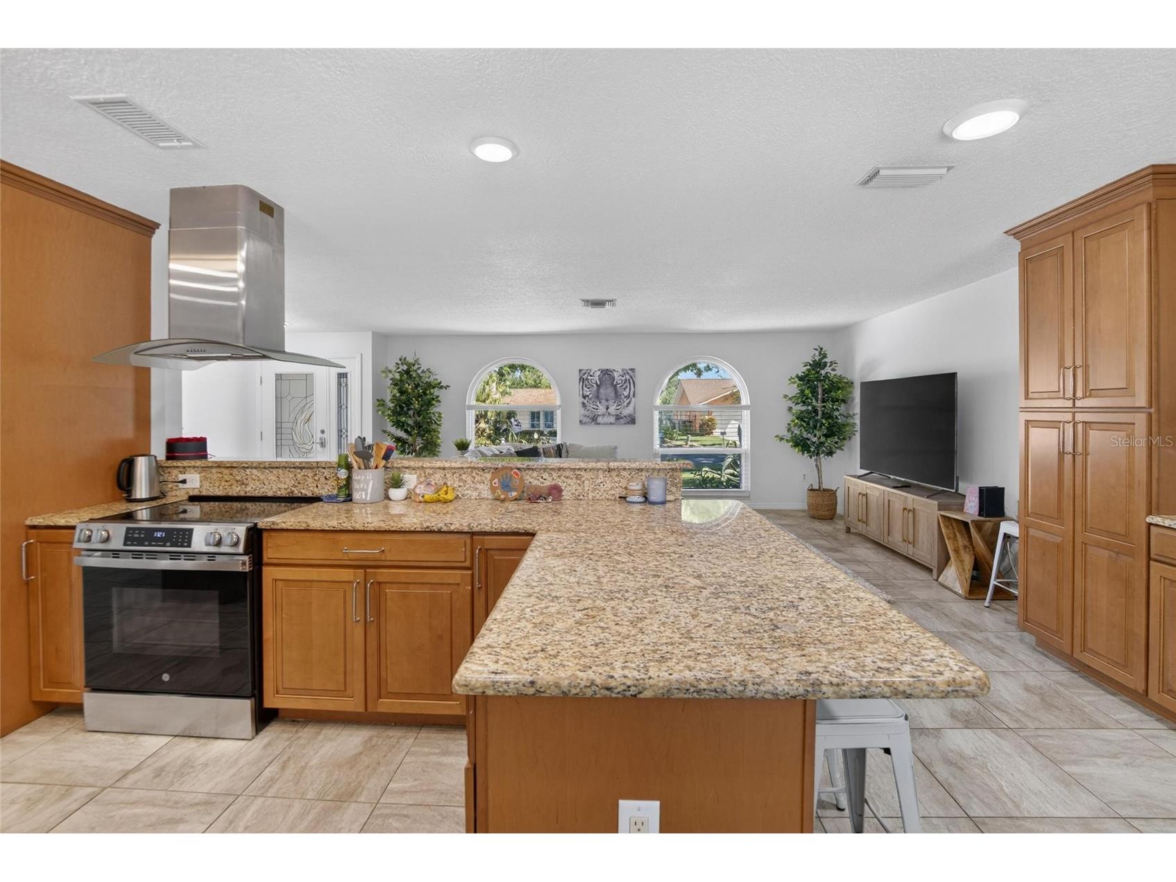 1668 Allens Ridge Drive N Palm Harbor FL 34683 TB8497852 image11