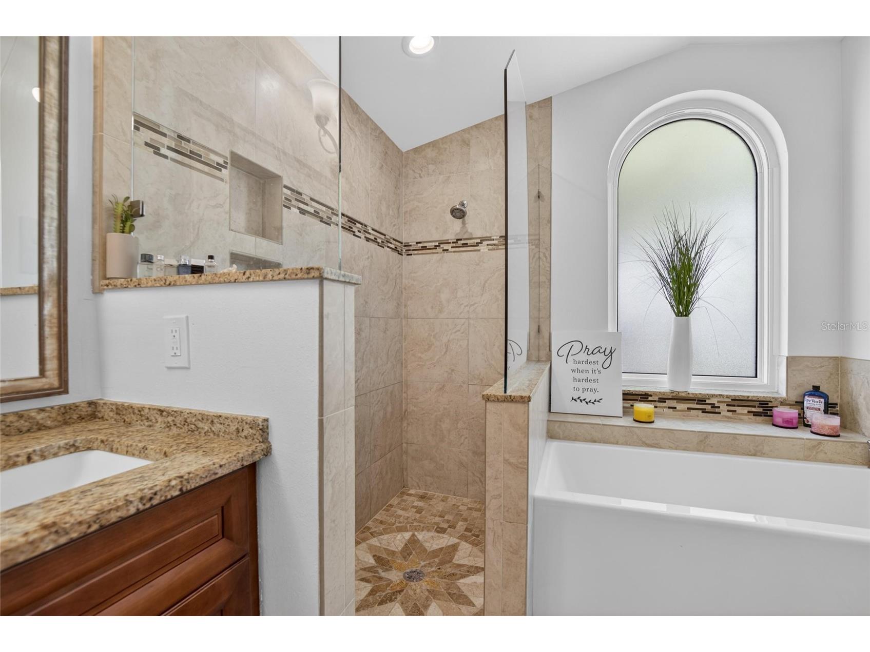 1668 Allens Ridge Drive N Palm Harbor FL 34683 TB8497852 image22