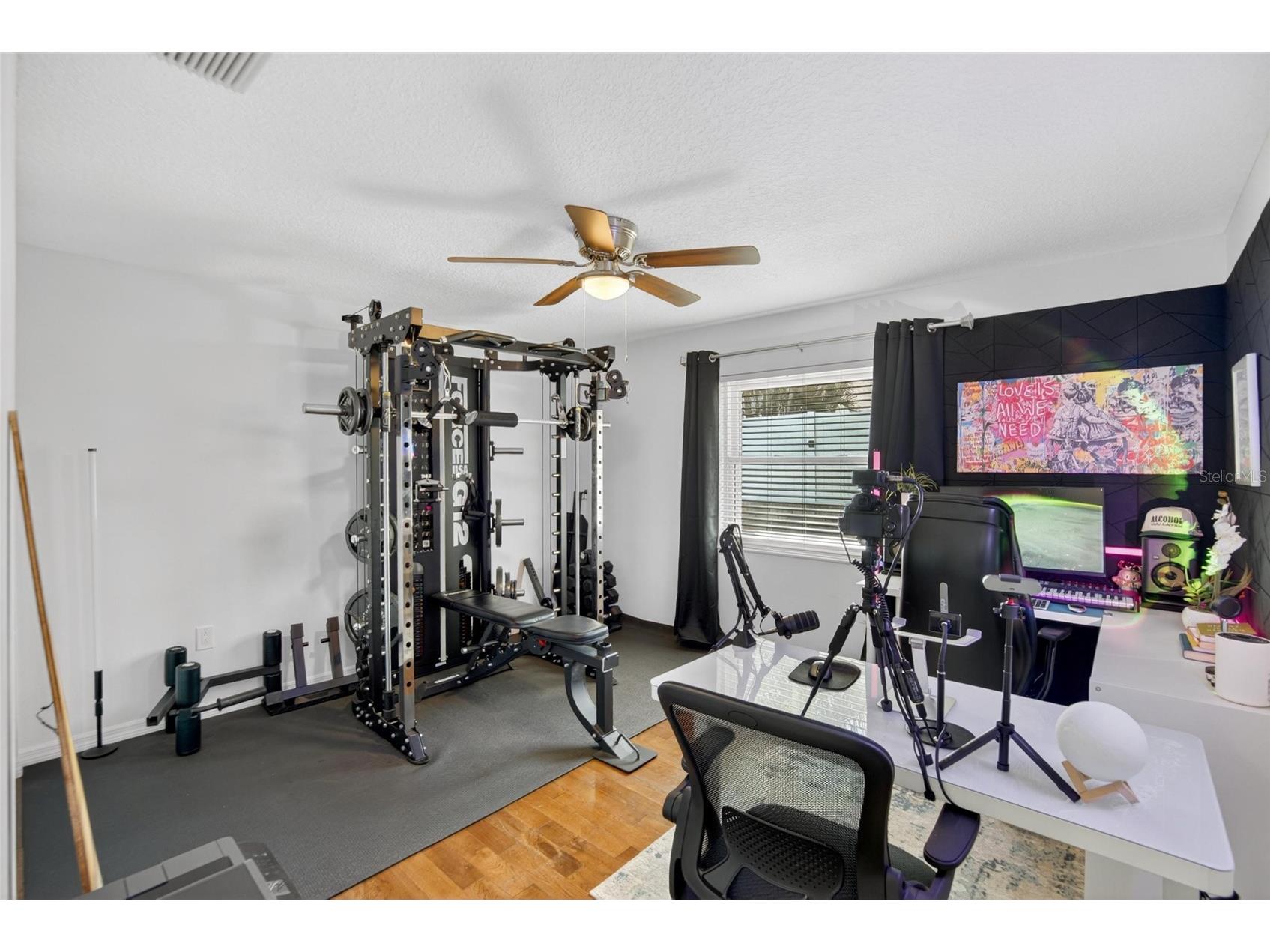 1668 Allens Ridge Drive N Palm Harbor FL 34683 TB8497852 image27