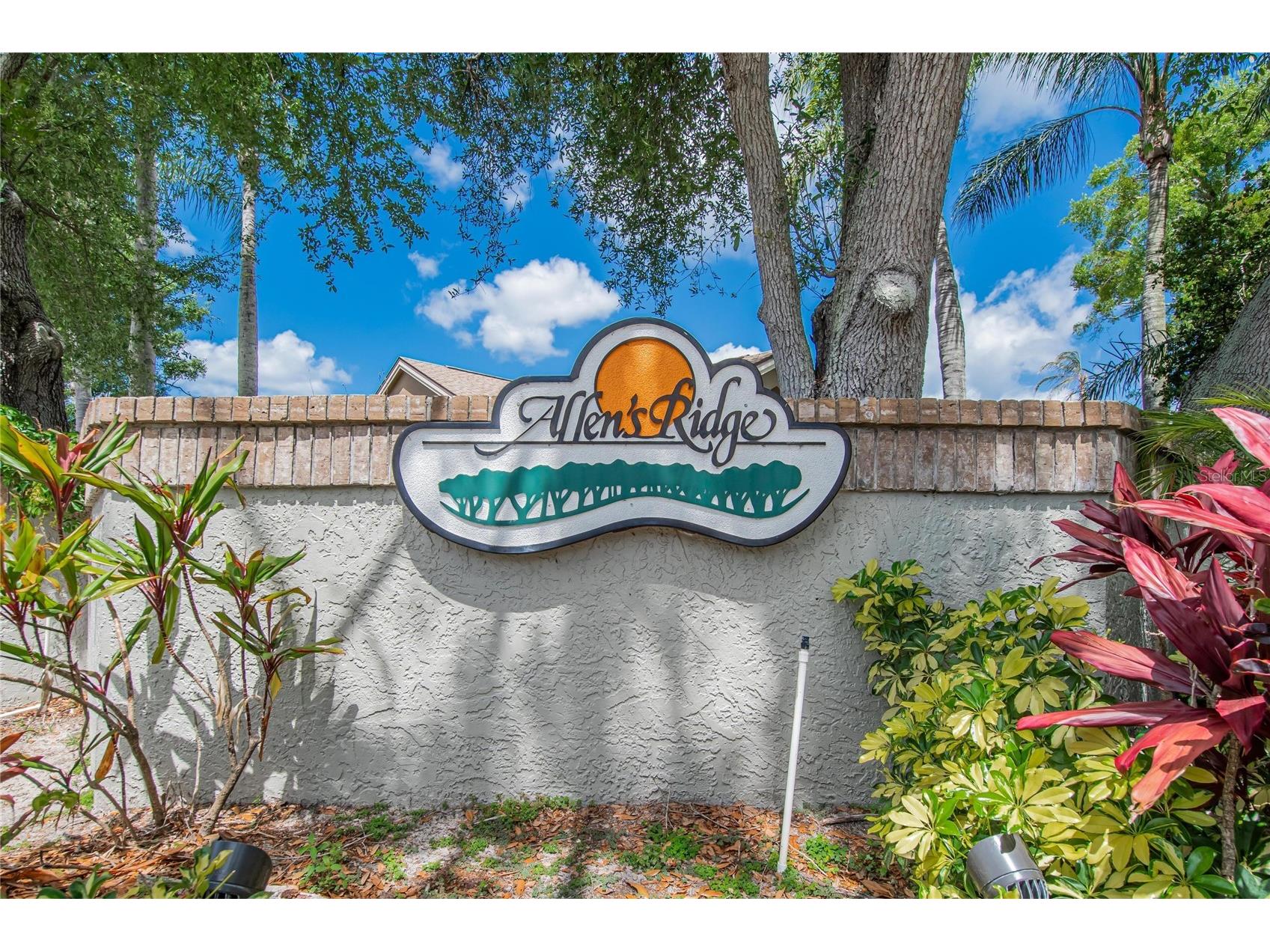 1668 Allens Ridge Drive N Palm Harbor FL 34683 TB8497852 image42