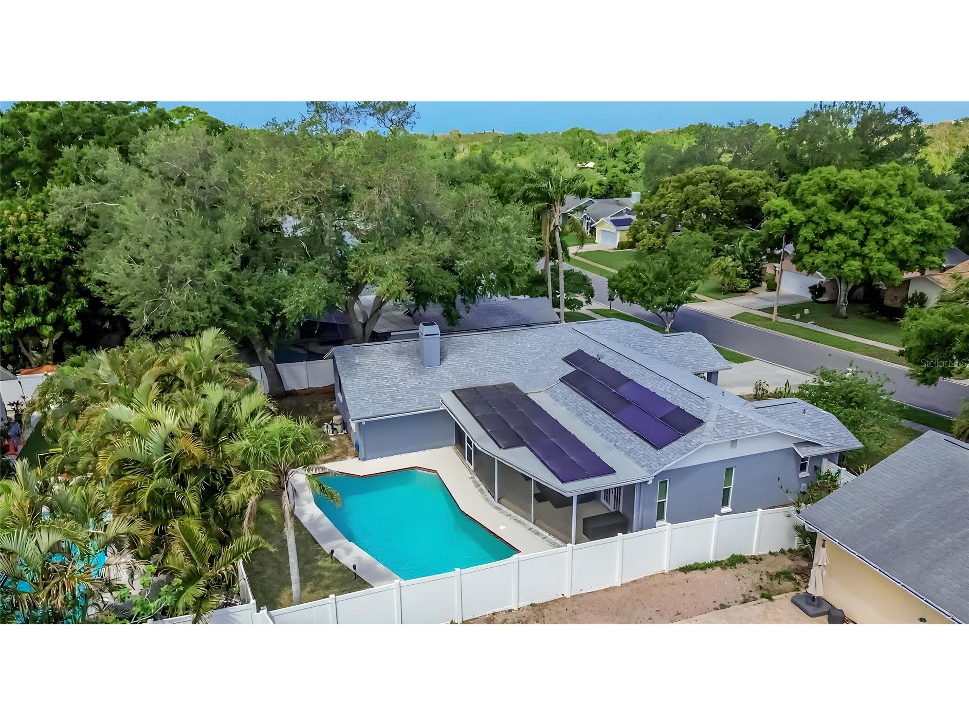 1668 Allens Ridge Drive N Palm Harbor FL 34683 TB8497852 image44