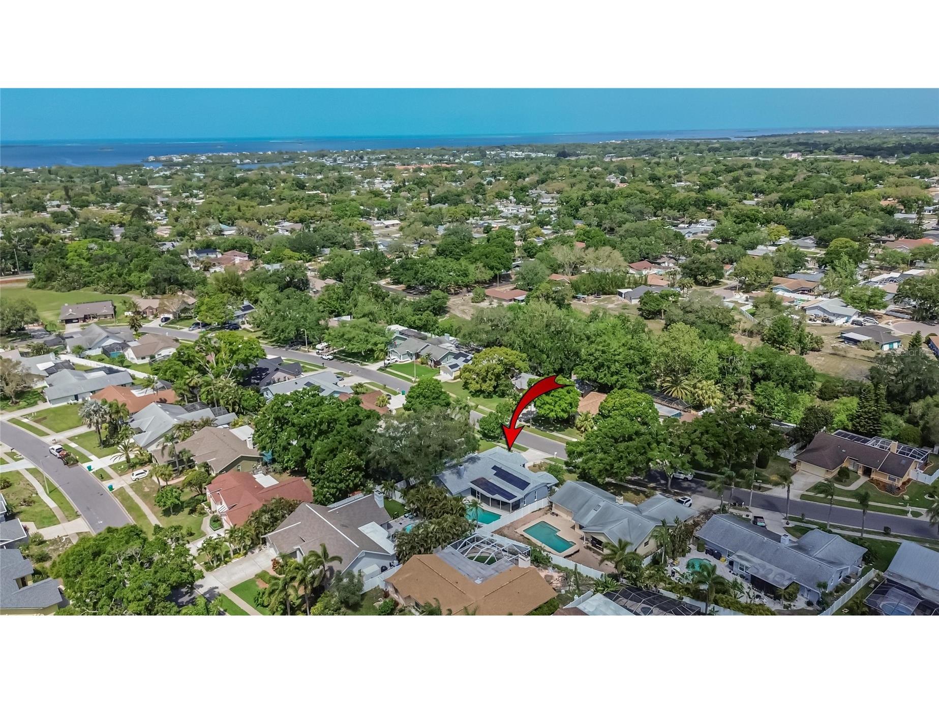 1668 Allens Ridge Drive N Palm Harbor FL 34683 TB8497852 image45