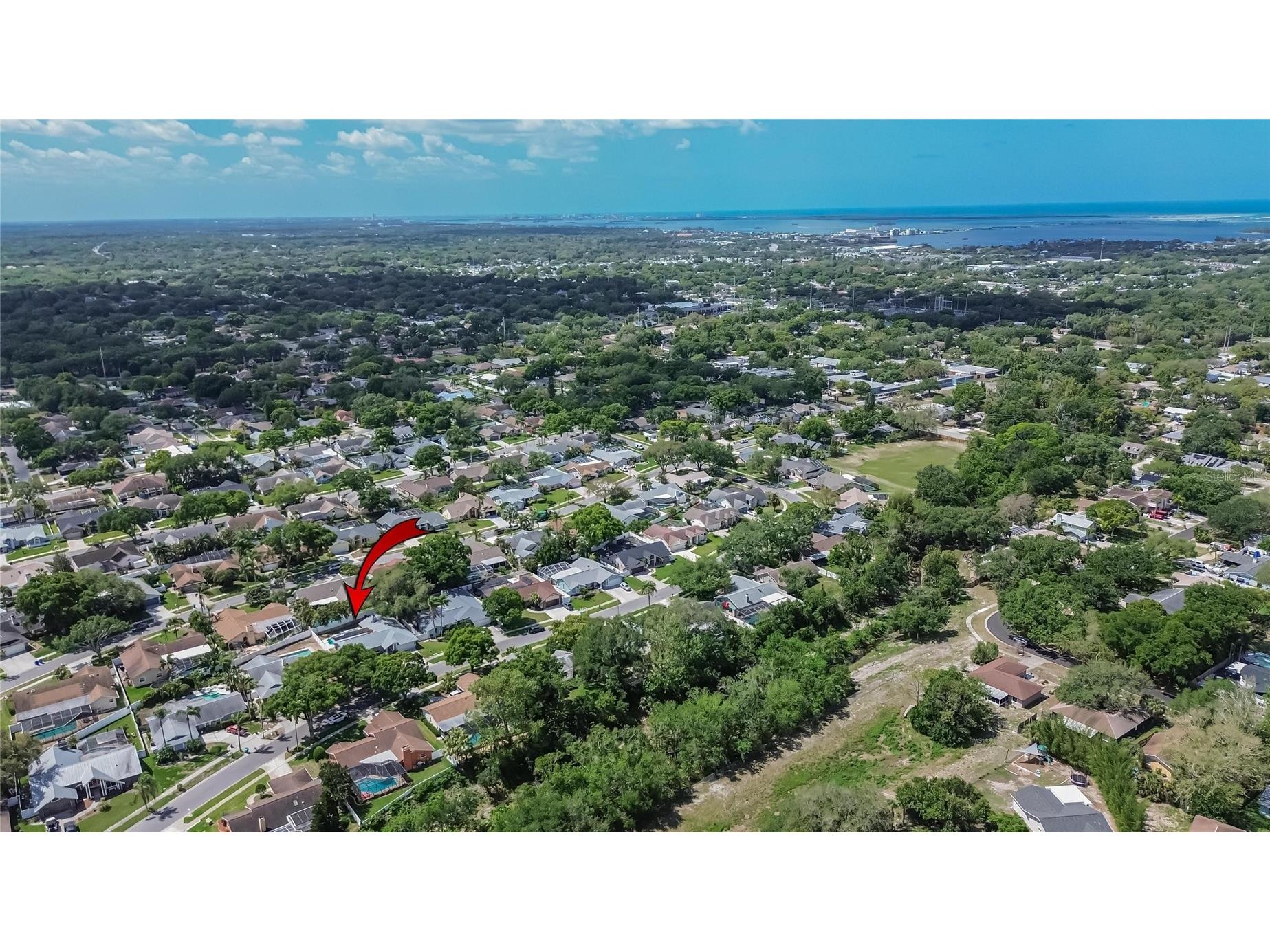 1668 Allens Ridge Drive N Palm Harbor FL 34683 TB8497852 image46