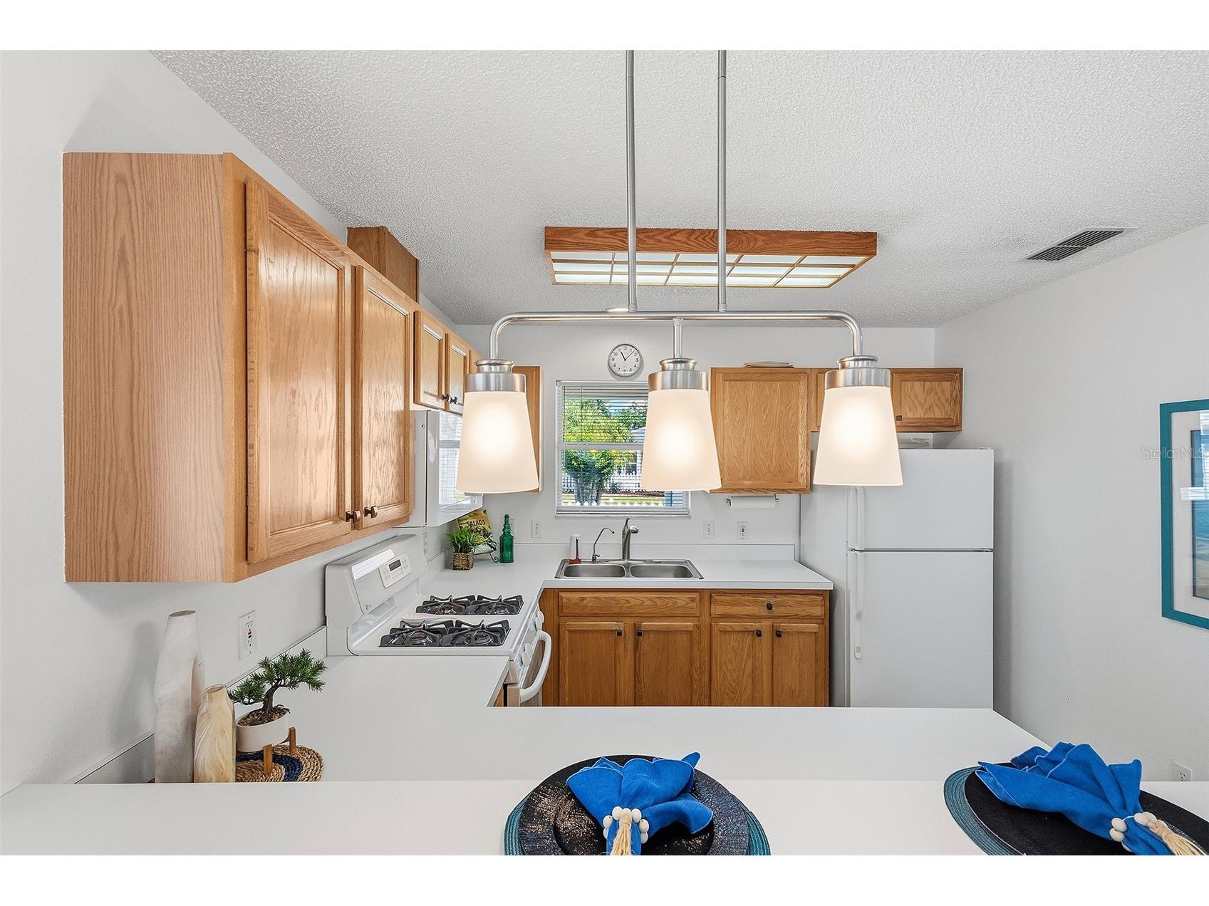 1668 Campos Drive The Villages FL 32162 G5110466 image4