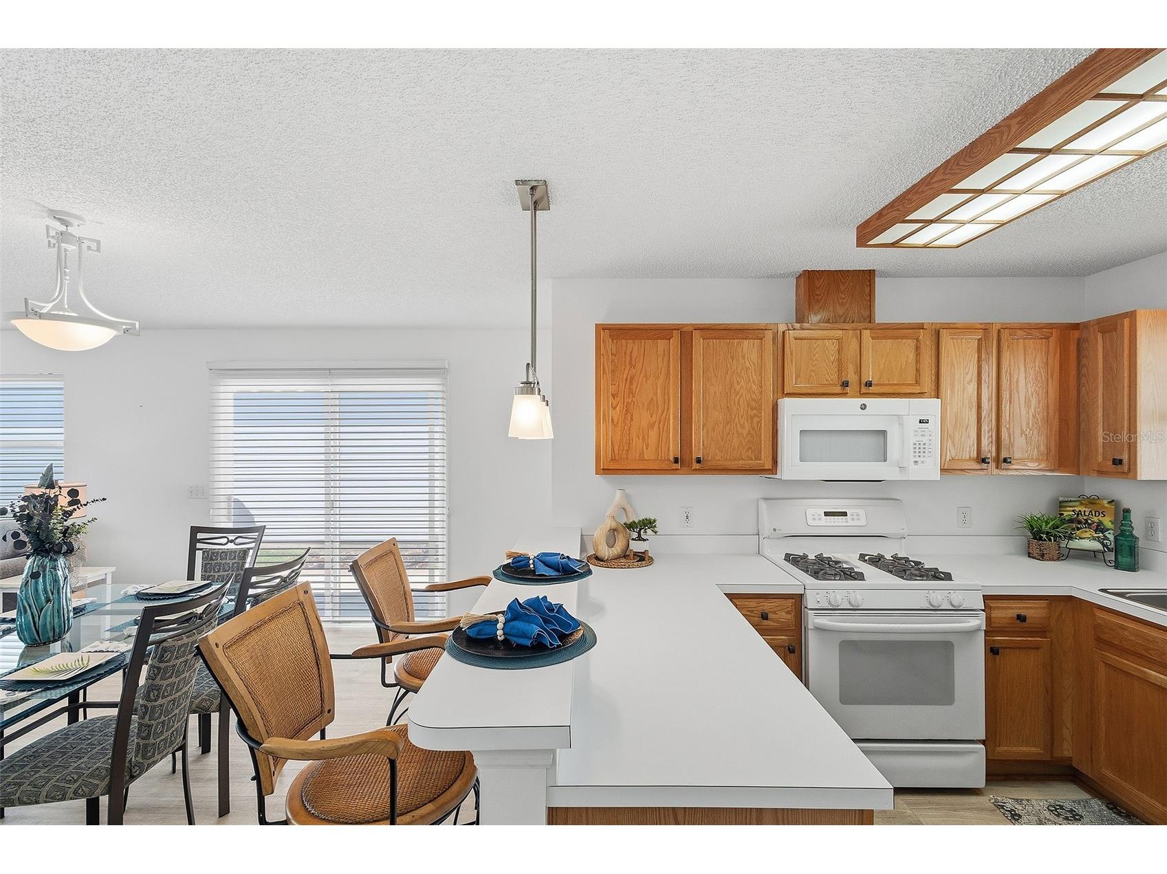 1668 Campos Drive The Villages FL 32162 G5110466 image5