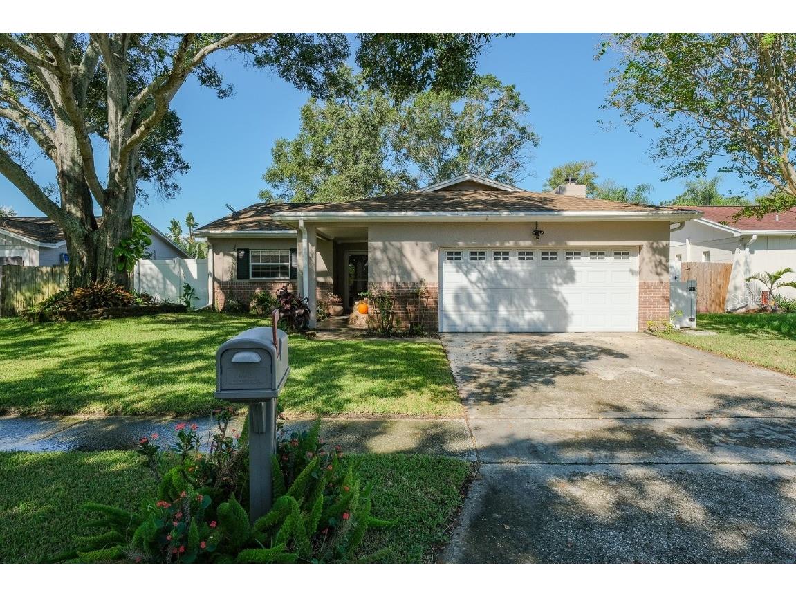 1668 E Orangeside Road Palm Harbor FL 34683 U8177244 image1