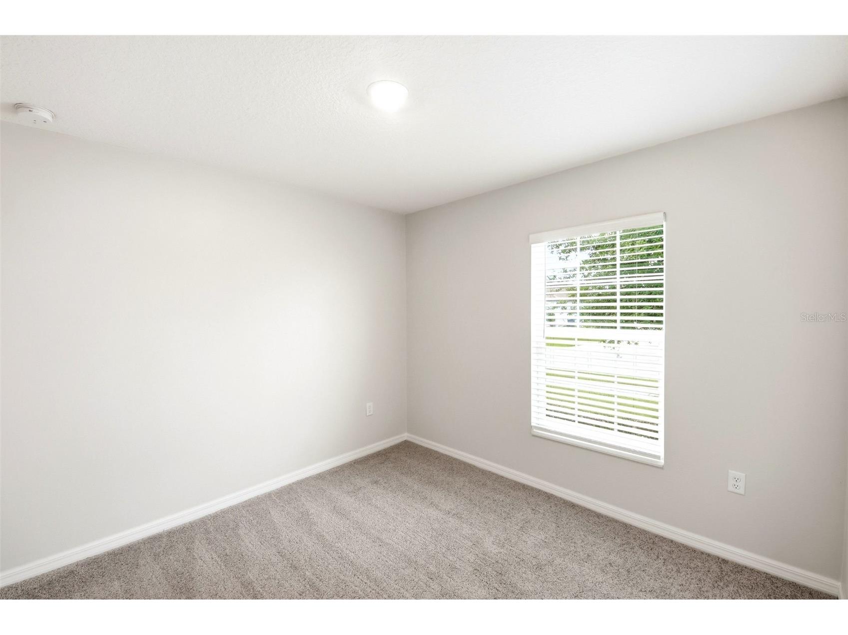 1668 Gopher Tree Street Mascotte FL 34753 O6398044 image15