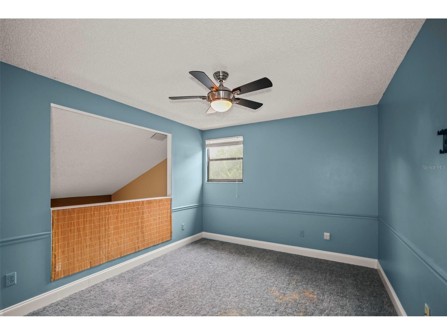 1668 Hamilton Court #2061 Dunedin FL 34698 TB8511717 image23