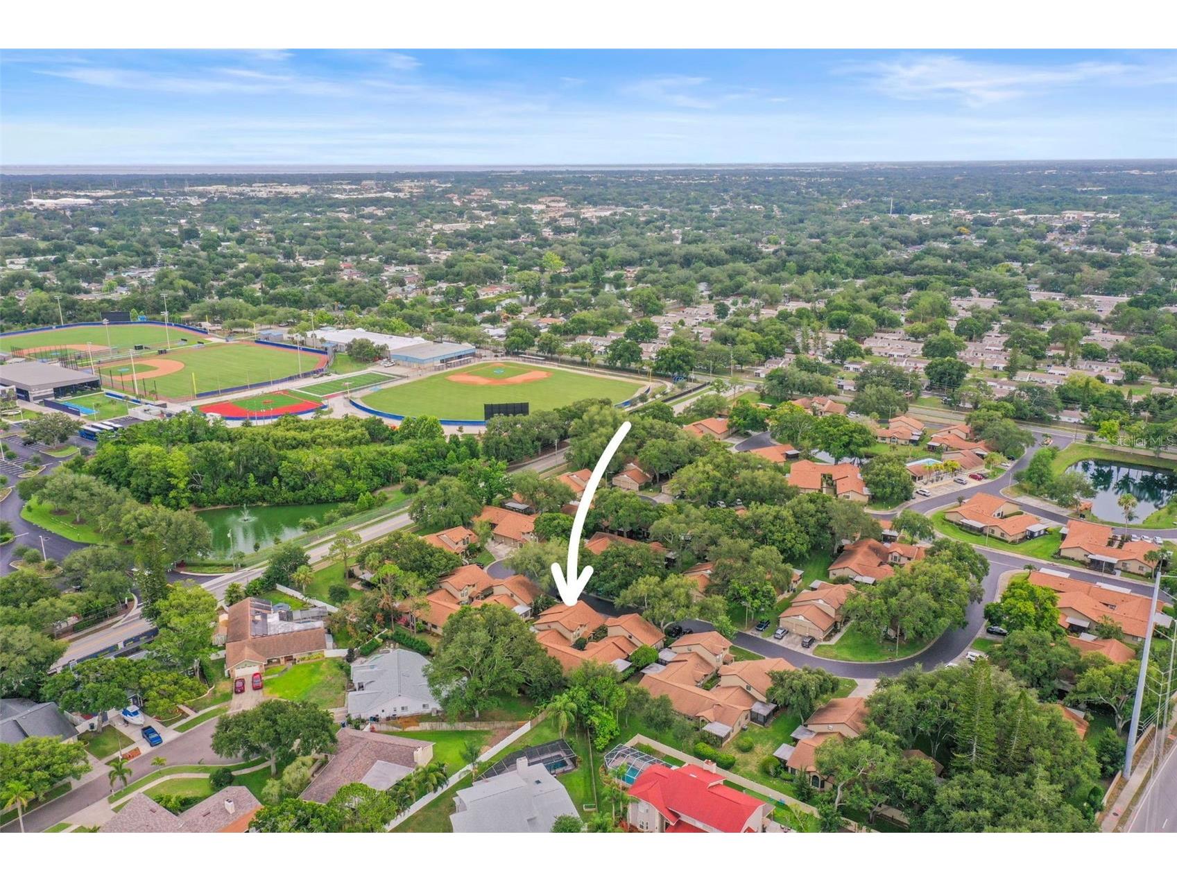 1668 Hamilton Court #2061 Dunedin FL 34698 TB8511717 image3
