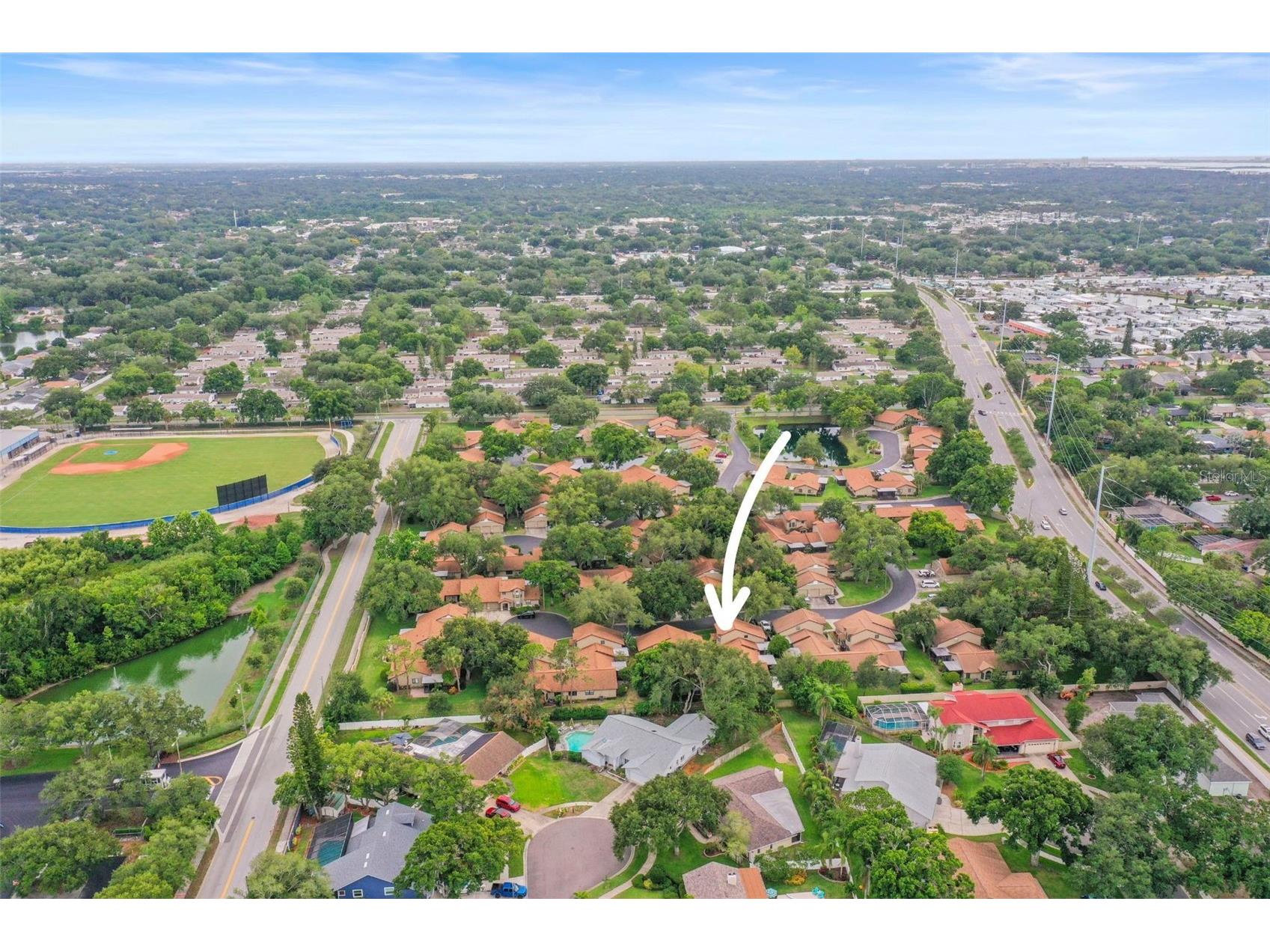 1668 Hamilton Court #2061 Dunedin FL 34698 TB8511717 image42