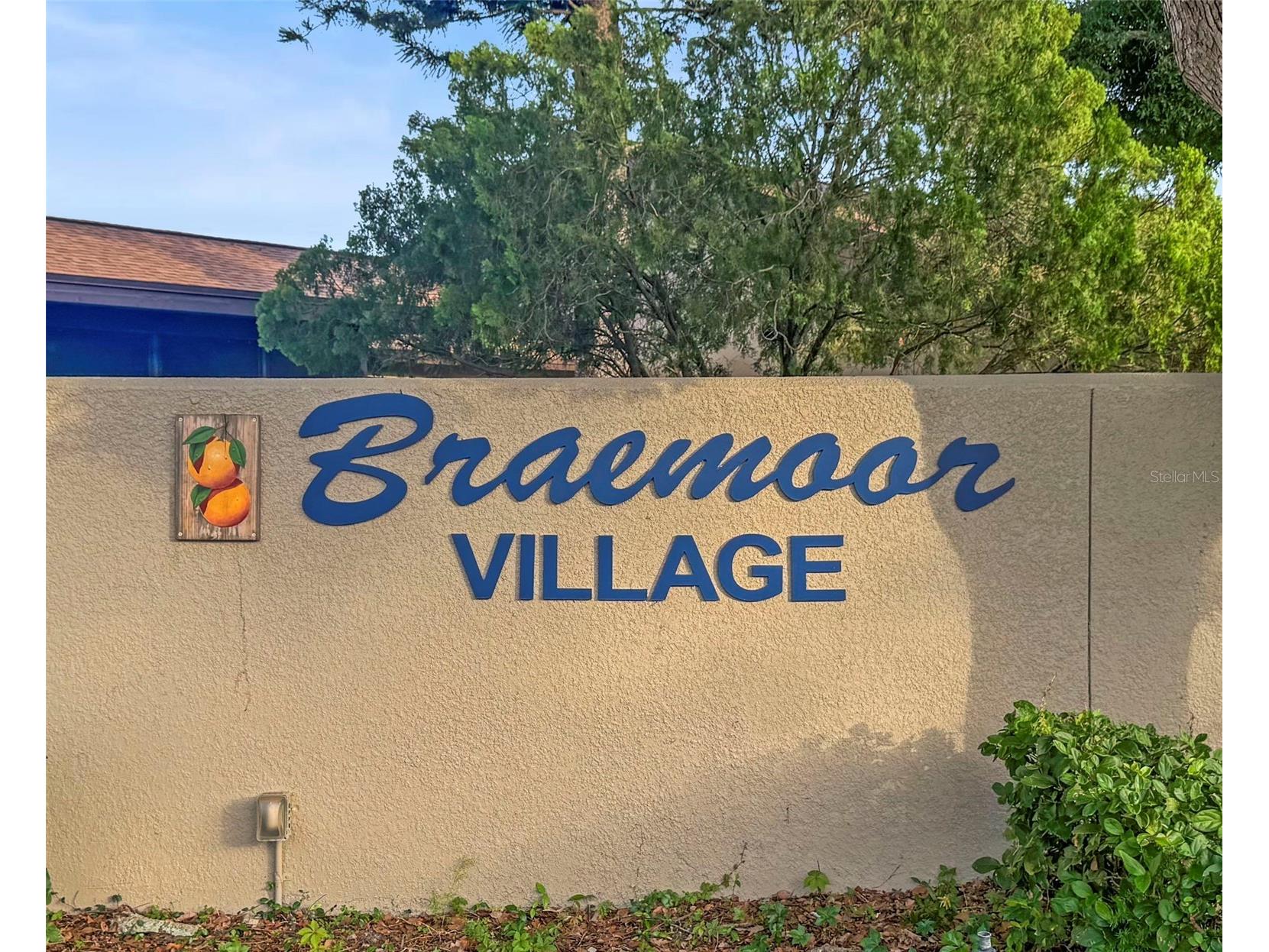 1668 Hamilton Court #2061 Dunedin FL 34698 TB8511717 image43