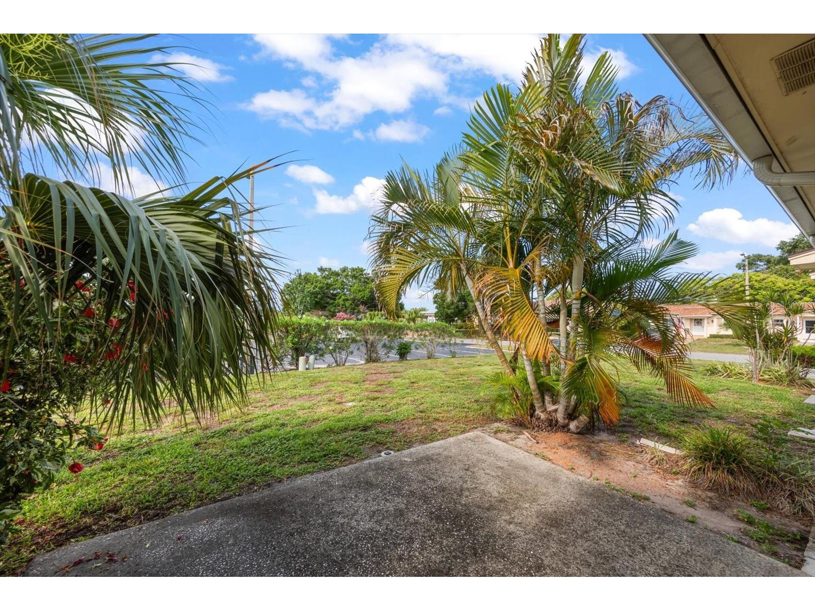 1668 S Lake Avenue #2 Clearwater FL 33756 TB8517522 image20