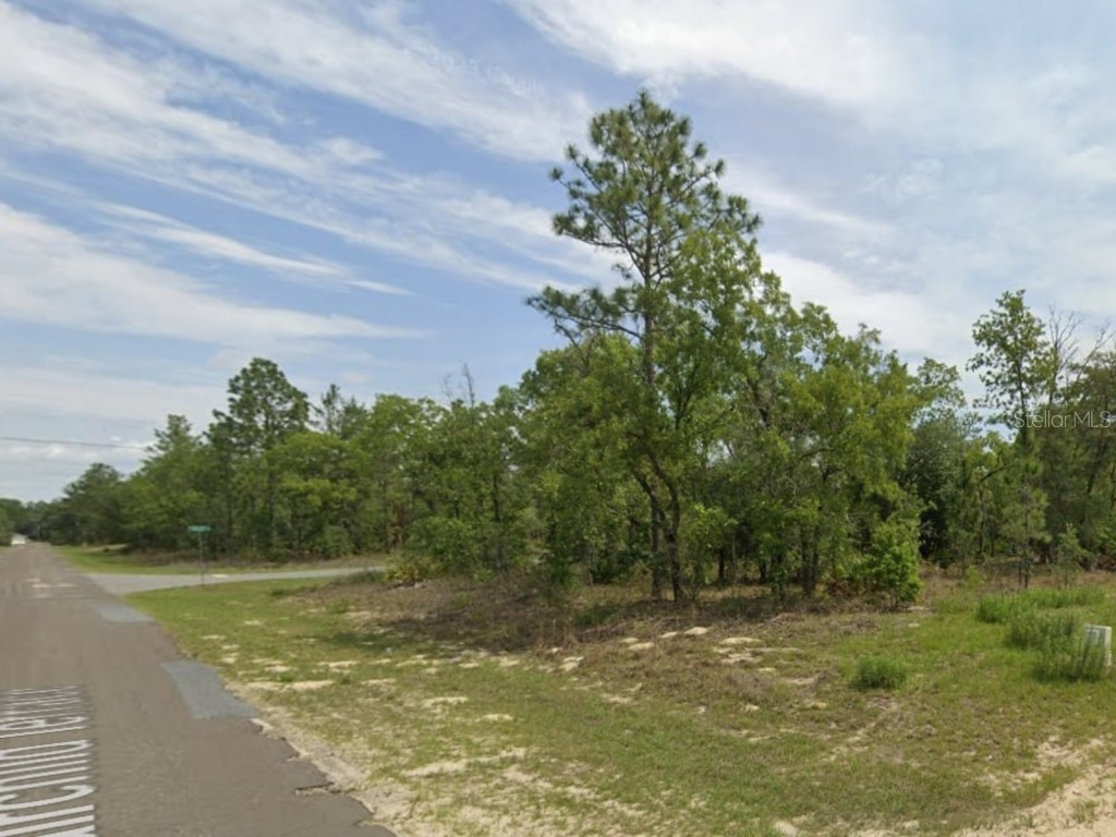 1668 W Riley Drive Citrus Springs FL 34434 O6138012 image1