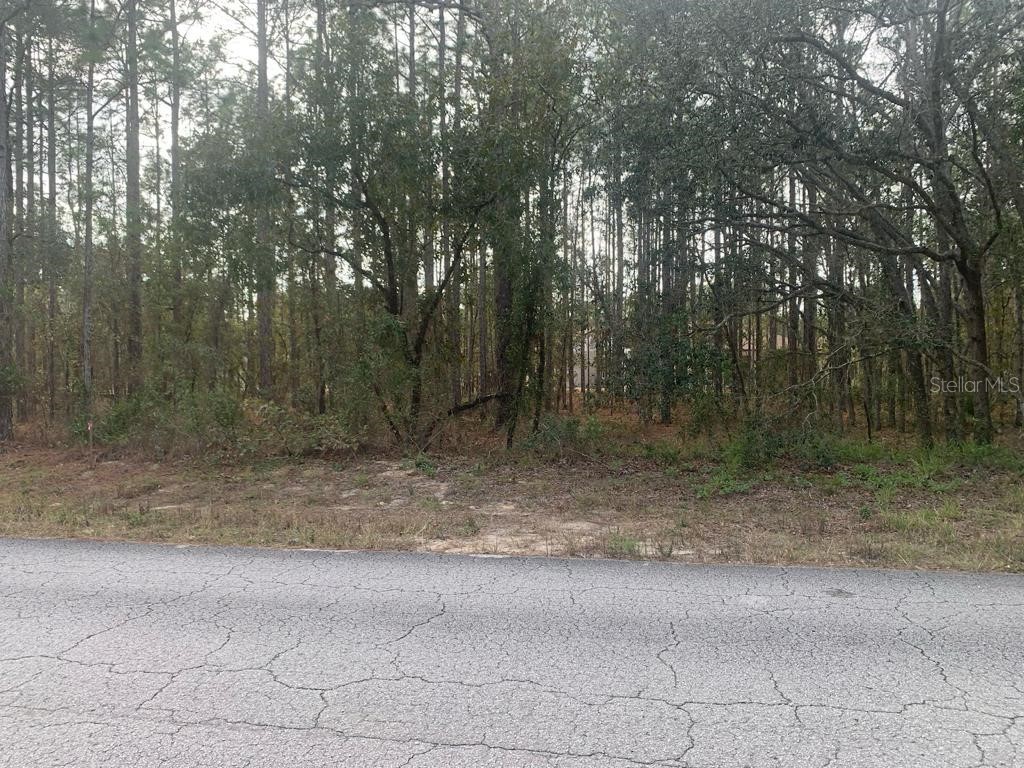 1668 W Riley Drive Citrus Springs FL 34434 O6172114 image1