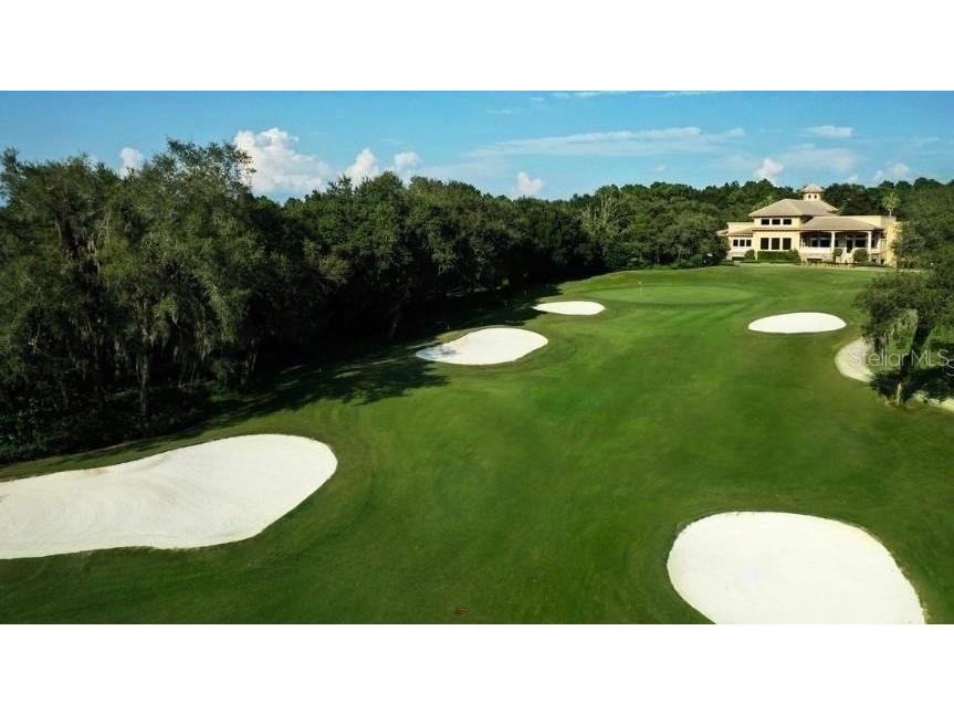 1668 W Spring Meadow Loop Lecanto FL 34461 TB8513518 image47