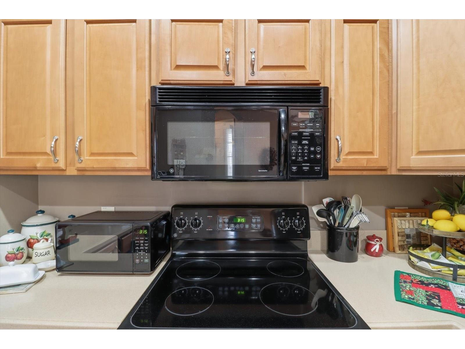 1668 W Spring Meadow Loop Lecanto FL 34461 TB8513518 image9