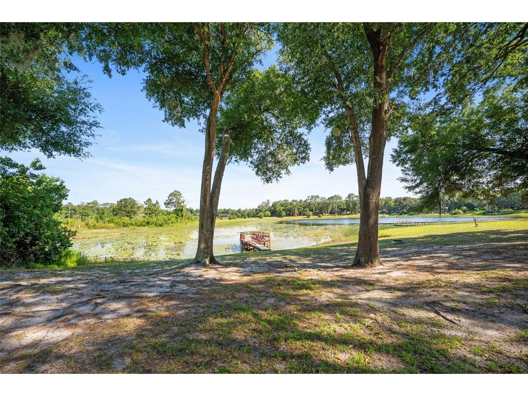 16684 SE 54th Street Ocklawaha FL 32179 - Crystal Lake G5113043 image65