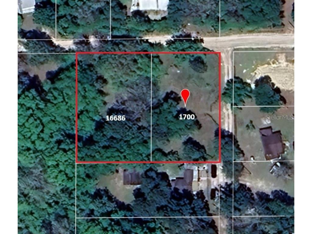 16686 NE 17th Place Silver Springs FL 34488 O6318396 image1