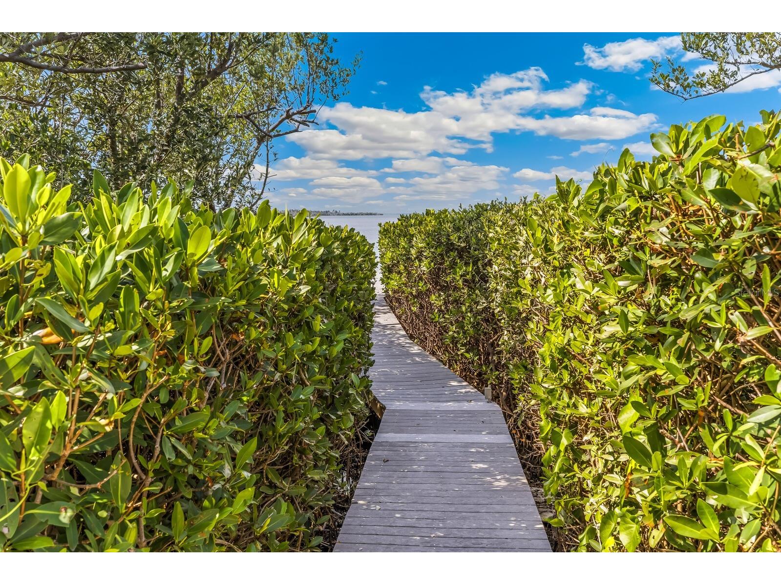 1669 Jose Gaspar Drive Boca Grande FL 33921 D6147162 image31