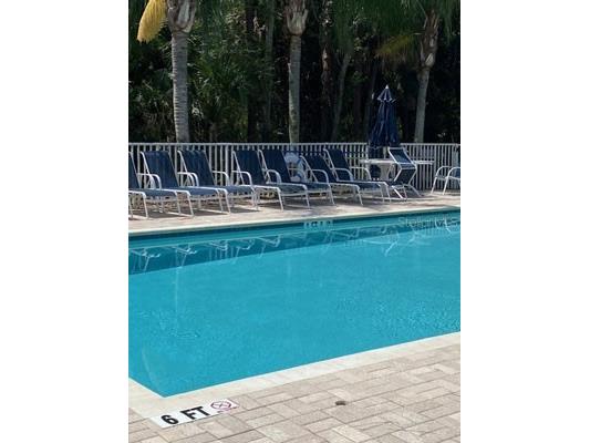 1669 Monarch Drive #204 Venice FL 34293 N6141529 image17