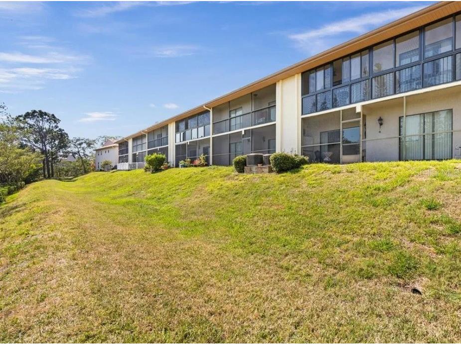 1669 Seascape Circle #1669 Tarpon Springs FL 34689 TB8486980 image16