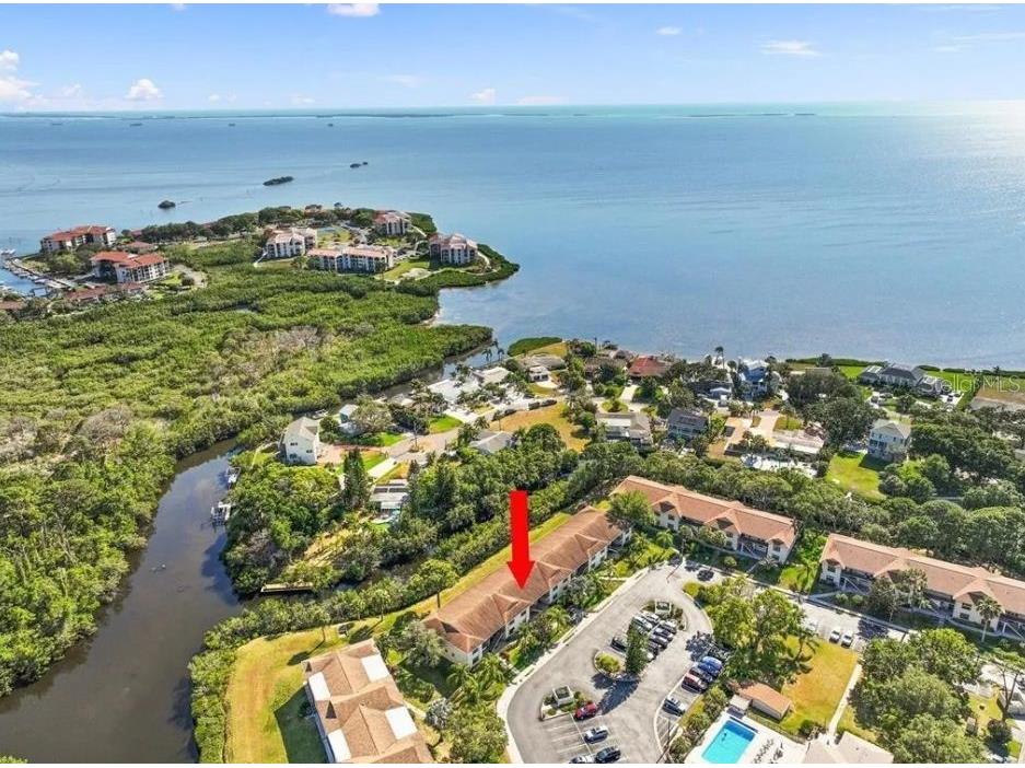 1669 Seascape Circle #1669 Tarpon Springs FL 34689 TB8486980 image18