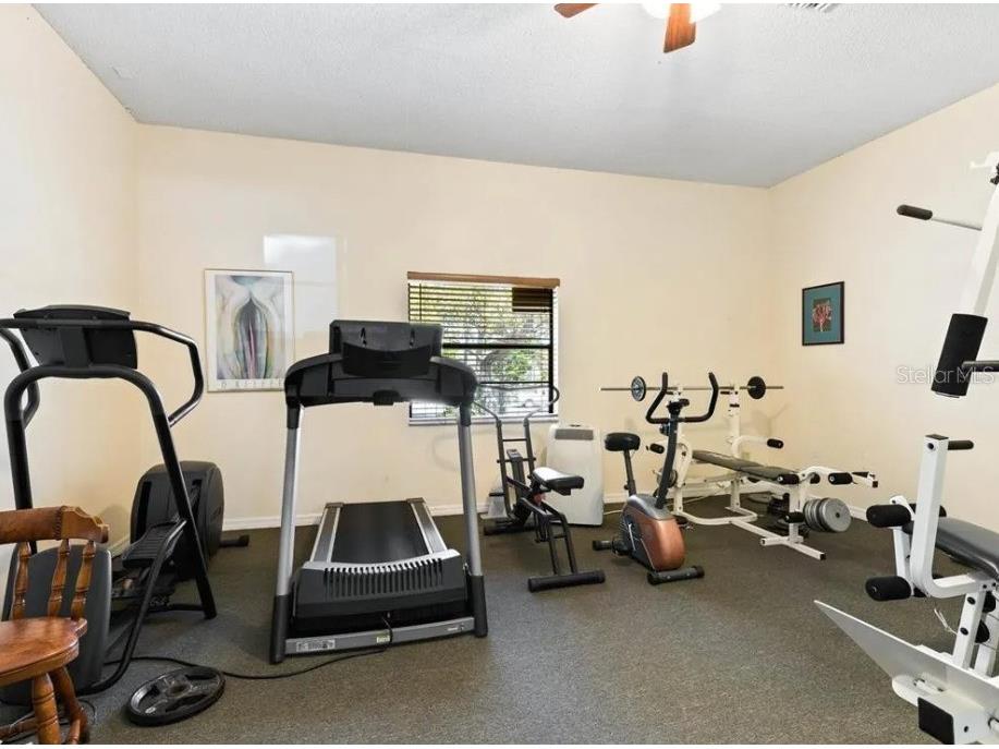 1669 Seascape Circle #1669 Tarpon Springs FL 34689 TB8486980 image24