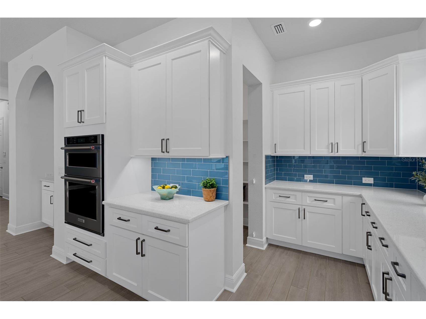 16691 Vibrato Lane Land O Lakes FL 34638 W7885711 image17