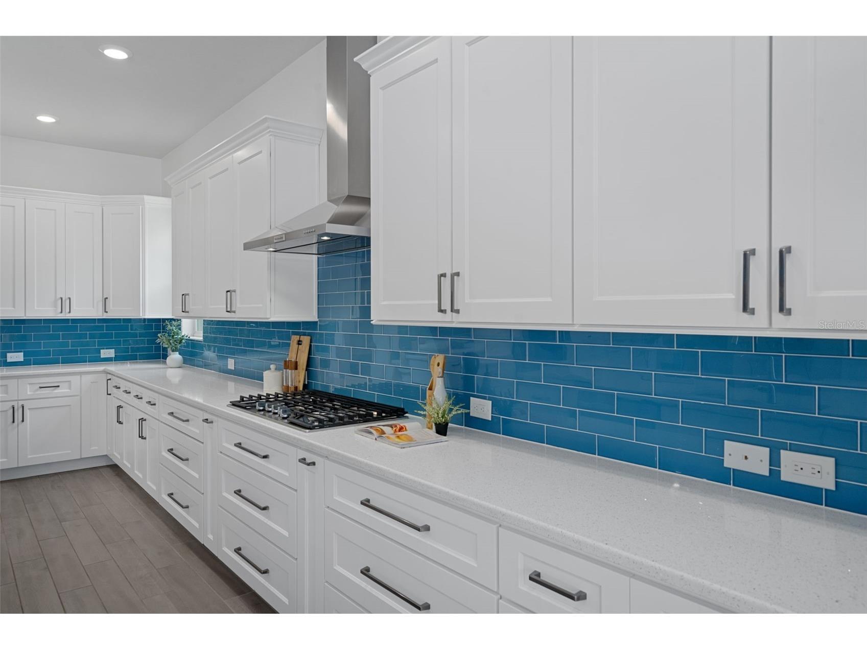 16691 Vibrato Lane Land O Lakes FL 34638 W7885711 image20