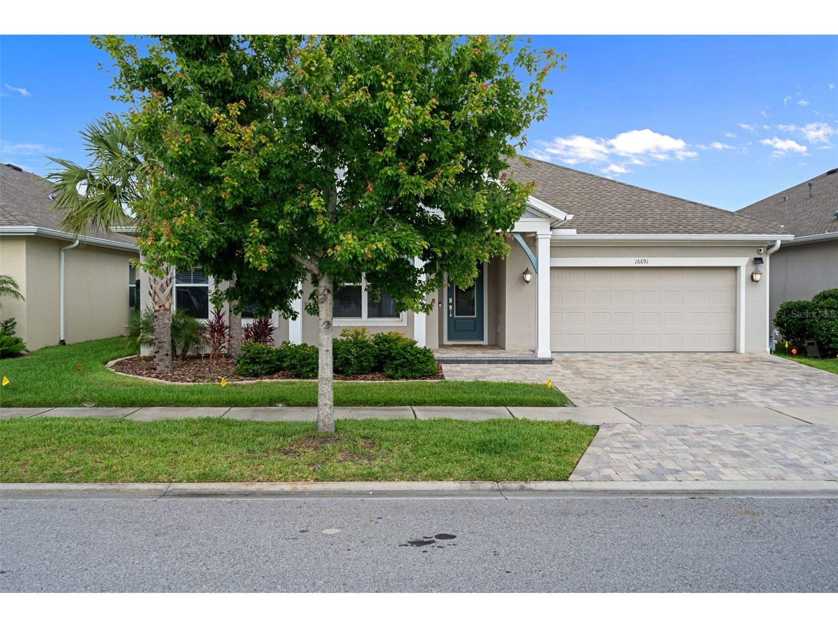 16691 Vibrato Lane Land O Lakes FL 34638 W7885711 image69