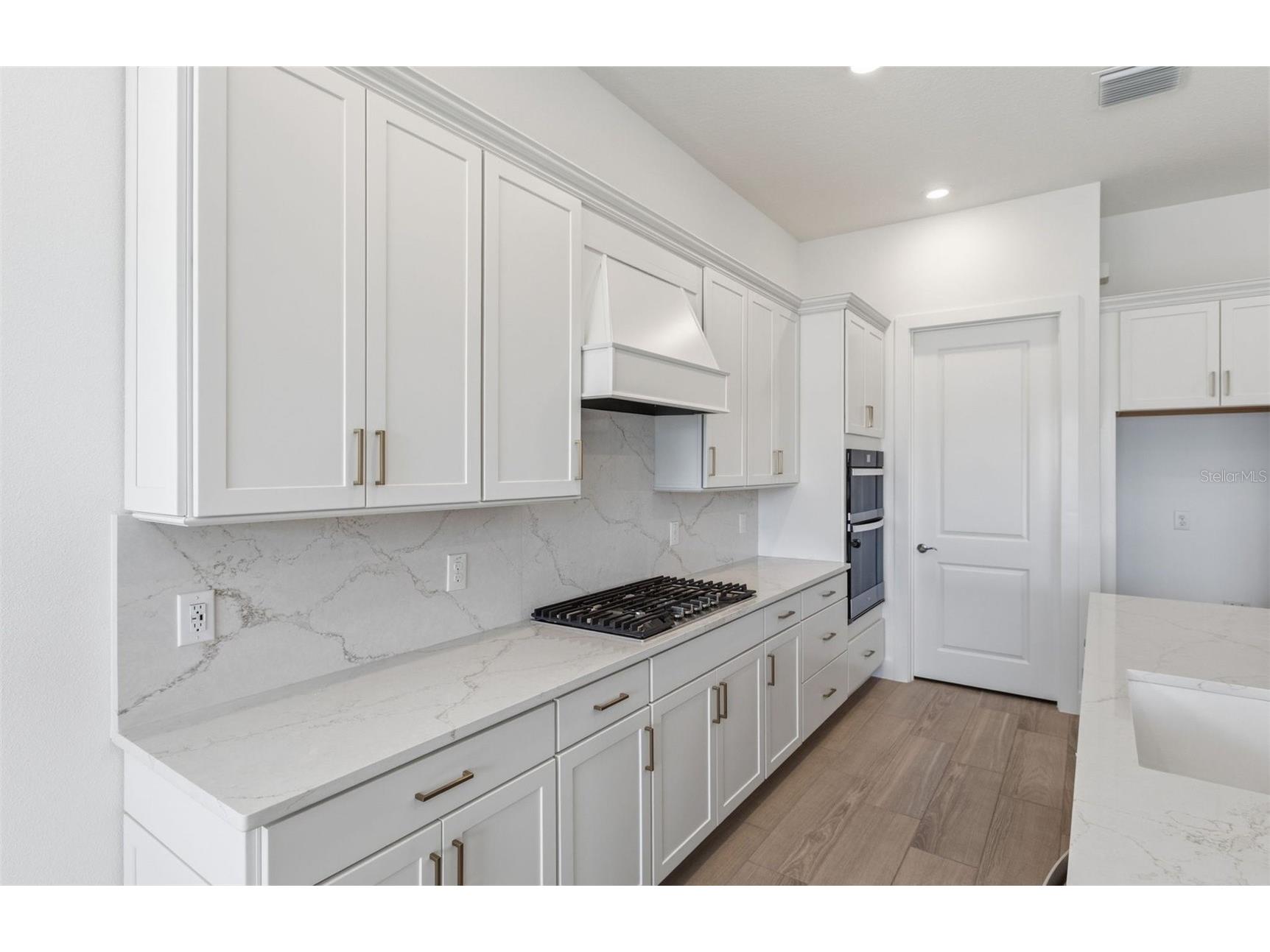 16694 Harvest Leaf Road Spring Hill FL 34610 TB8422280 image2