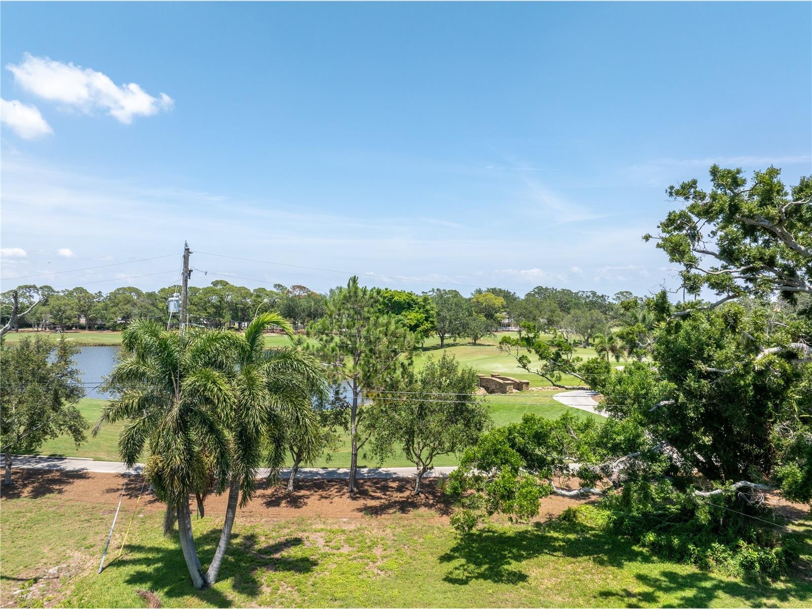 167 Almedo Way NE Saint Petersburg FL 33704 TB8454535 image3