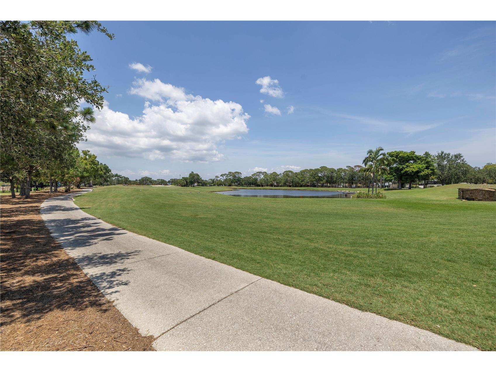 167 Almedo Way NE Saint Petersburg FL 33704 TB8454535 image8