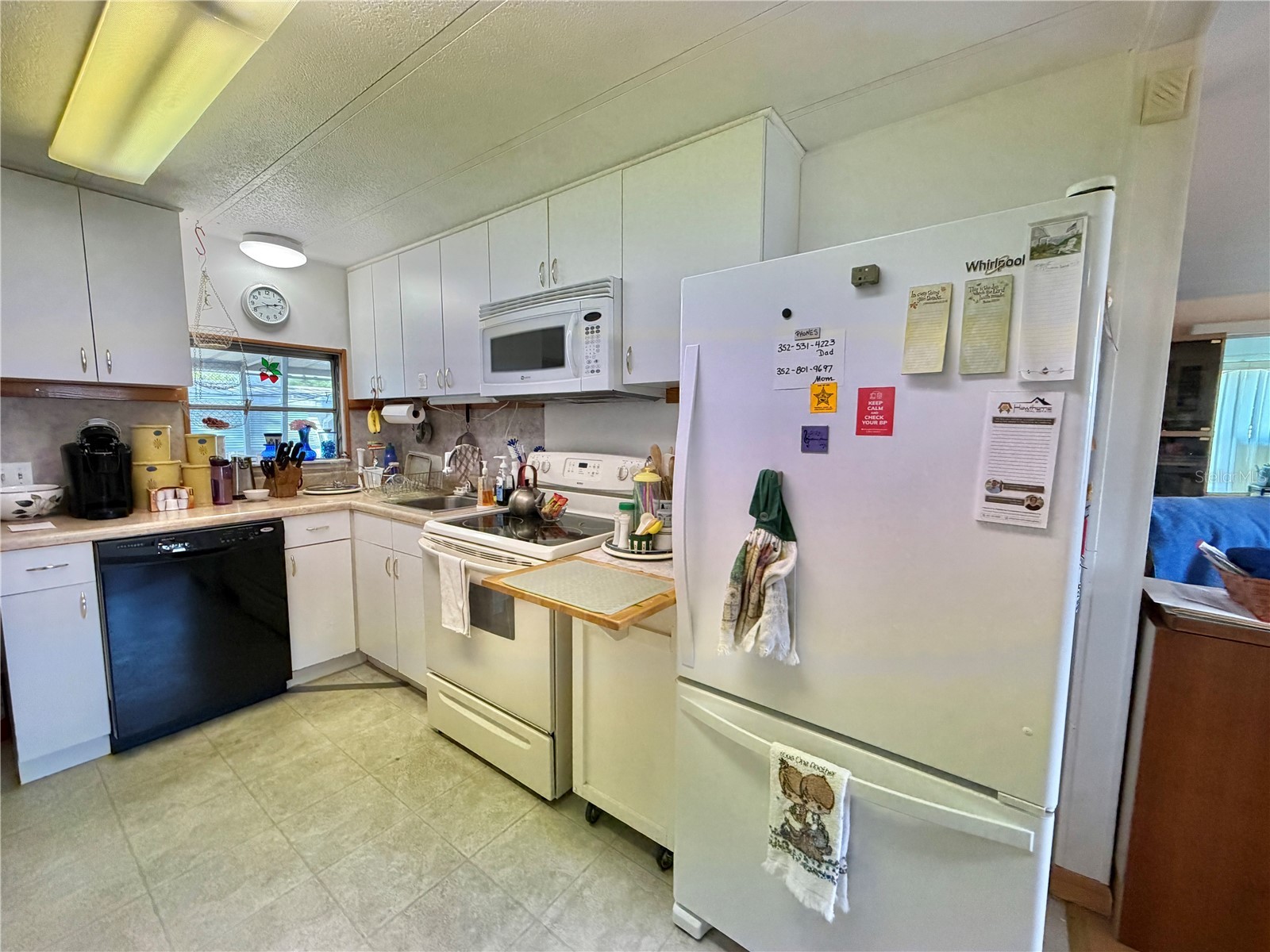 167 Jacaranda Drive Leesburg FL 34748 G5110007 image14