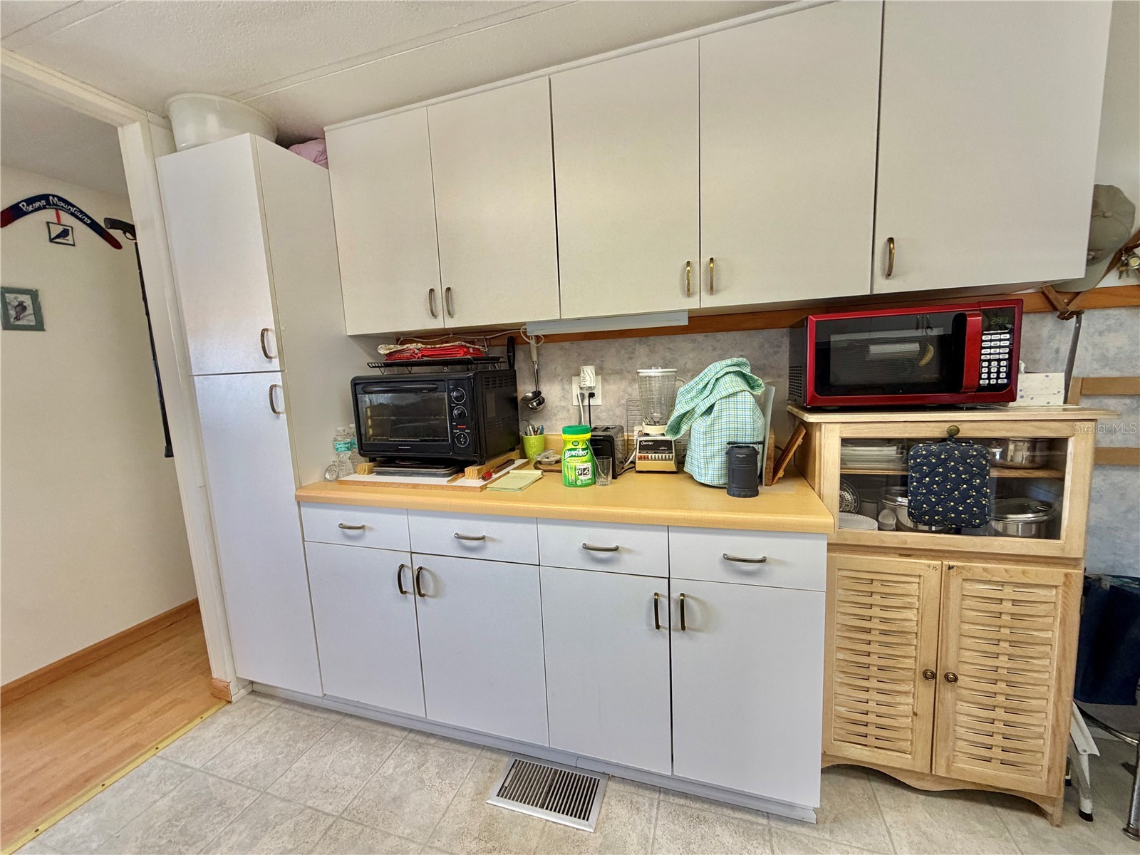 167 Jacaranda Drive Leesburg FL 34748 G5110007 image15