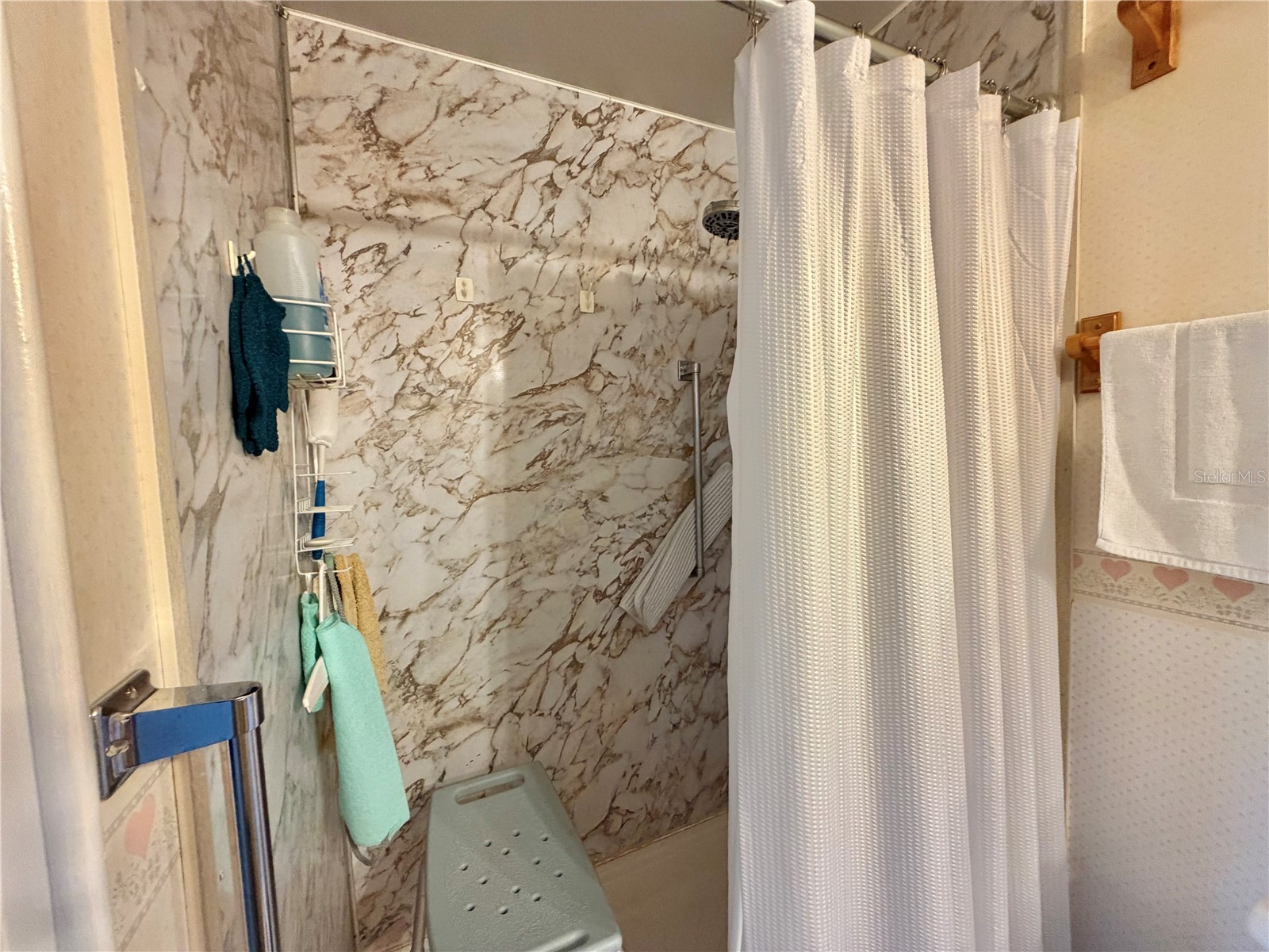 167 Jacaranda Drive Leesburg FL 34748 G5110007 image24