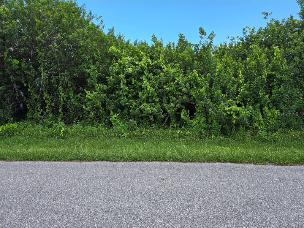 167 Lenoir Street NW Port Charlotte FL 33948 A4666630 image1